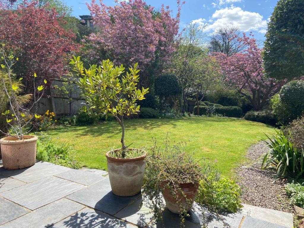 Clifton Garden Flat With Parking Apartman Bristol Kültér fotó
